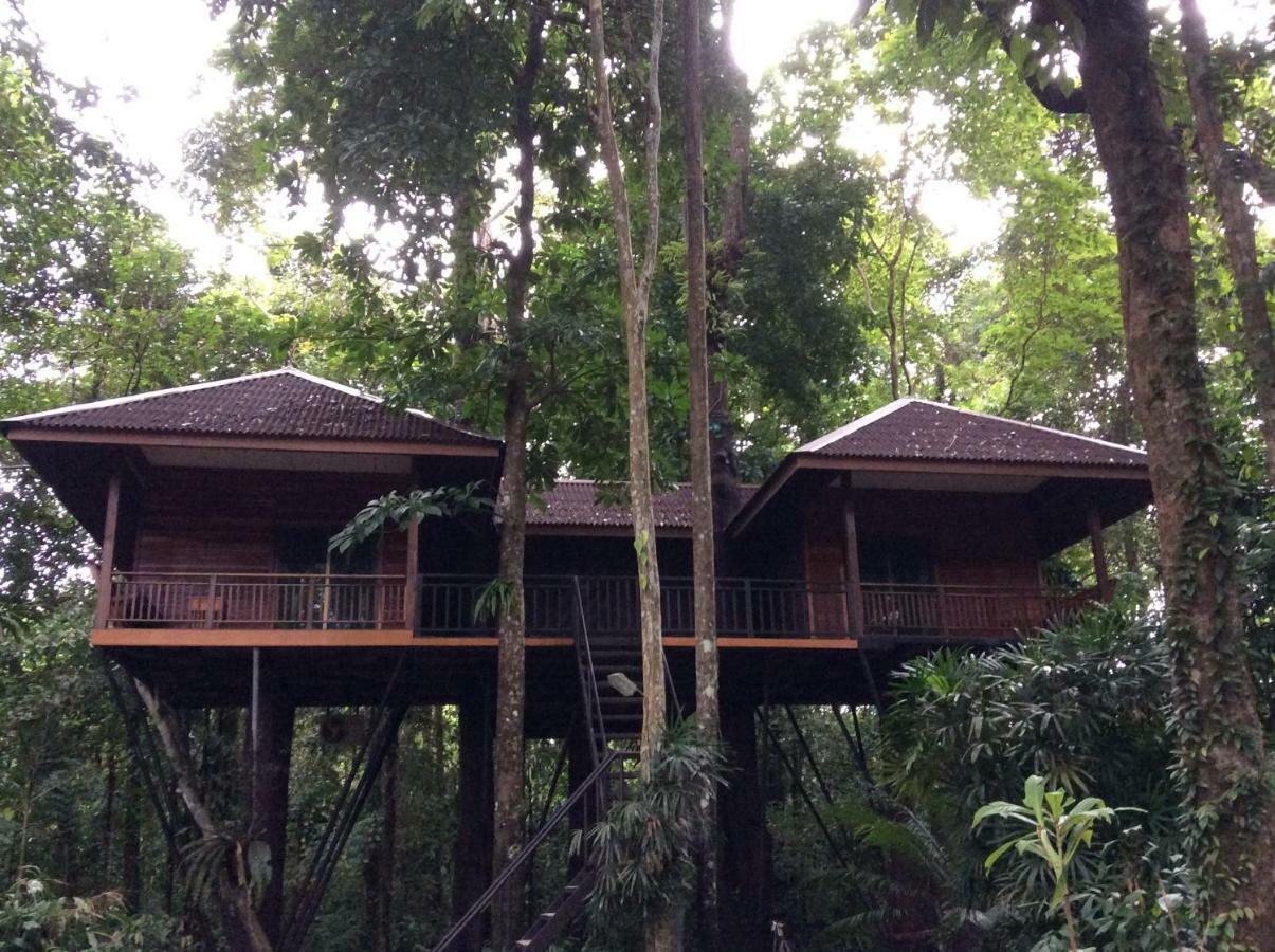 Khao Sok Nature Resort Khao Sok National Park