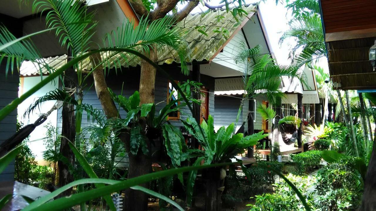 Lanta New Coconut