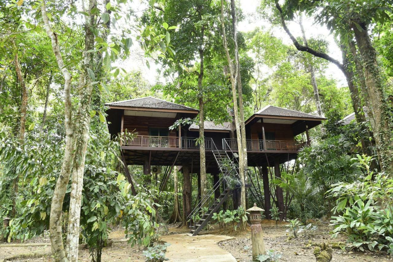 Khao Sok Nature 3*