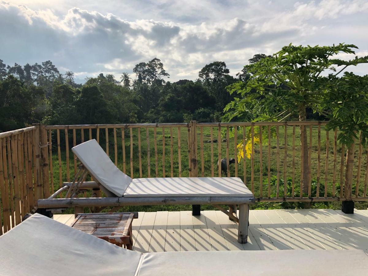 Samui Zenity