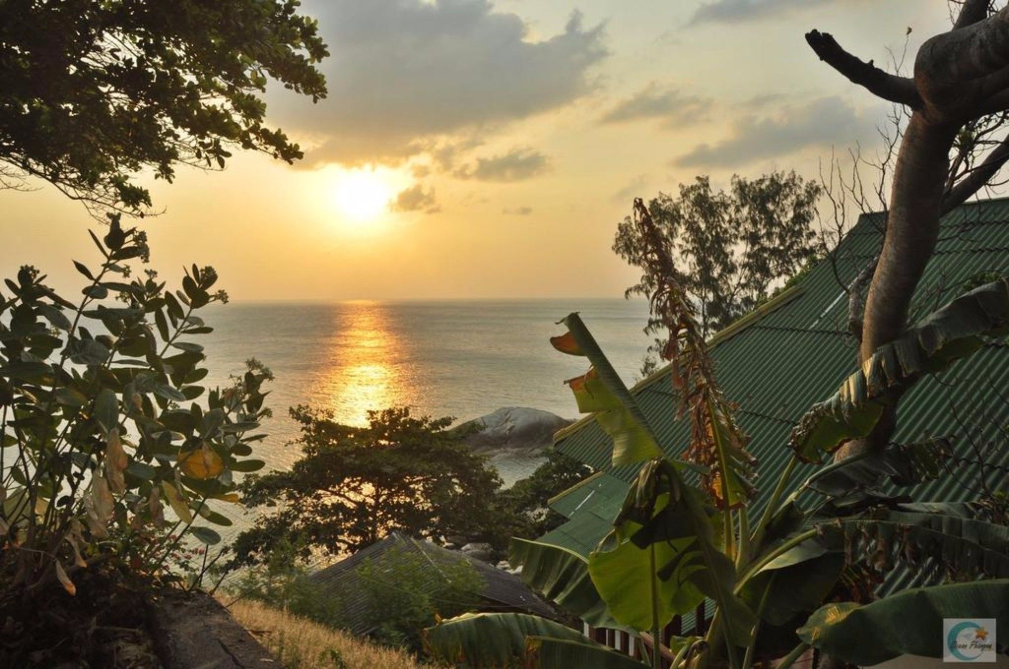 The Ocean Phangan 3*