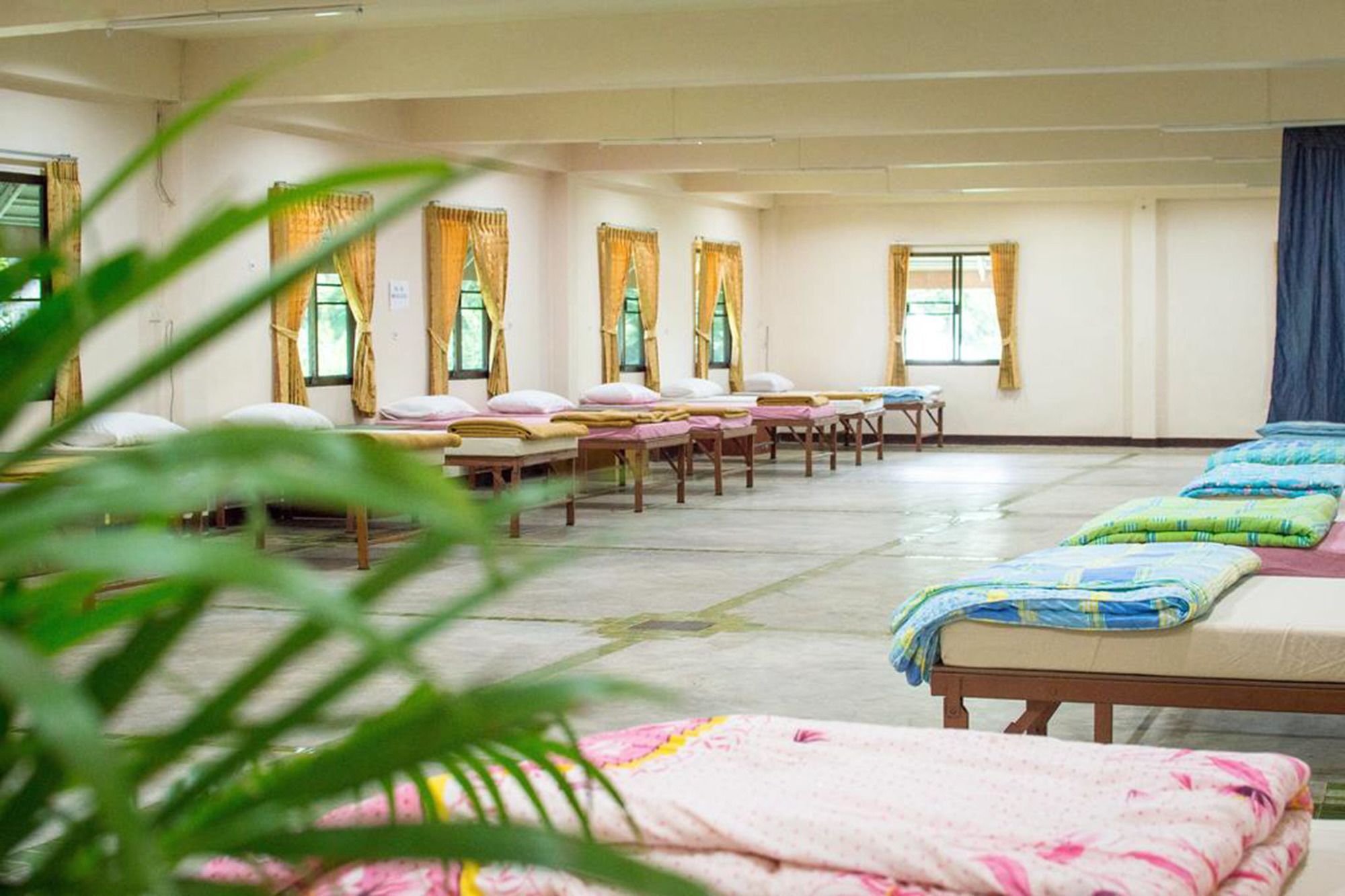 Hotel Backpackers Paradise (adults Only) Pai