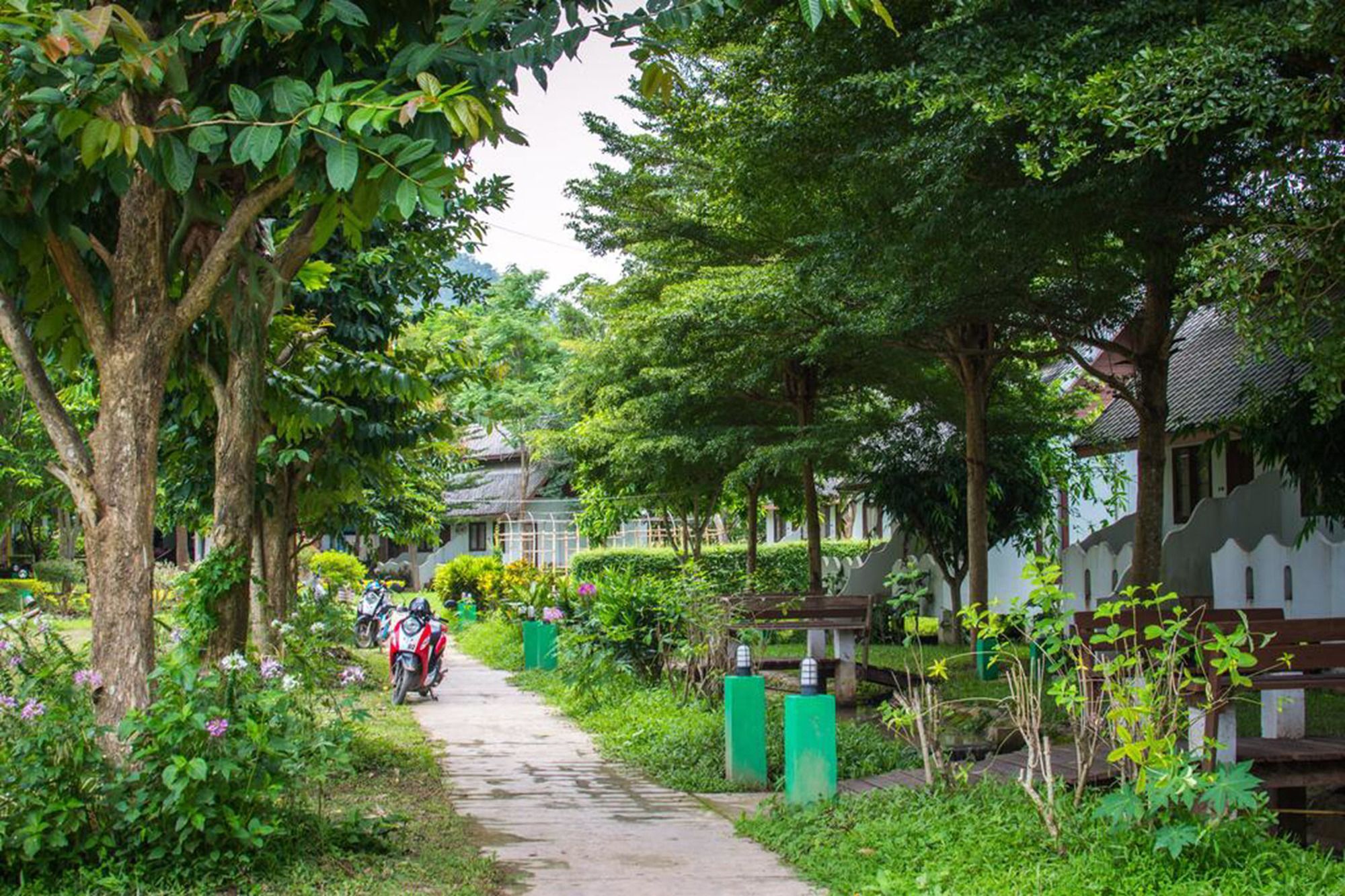 Backpackers Paradise (adults Only)