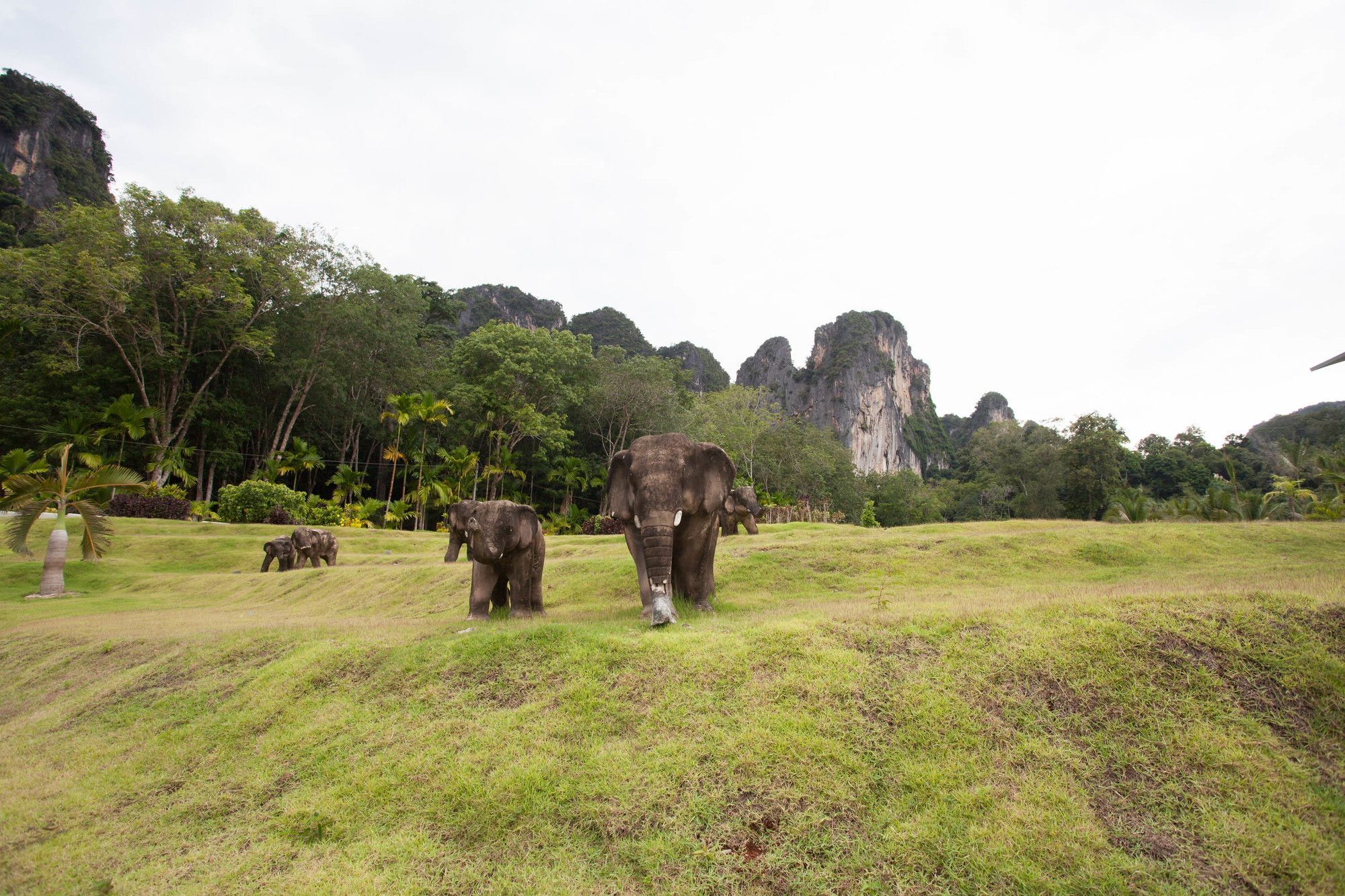 Hotel Arawan Krabi 4*