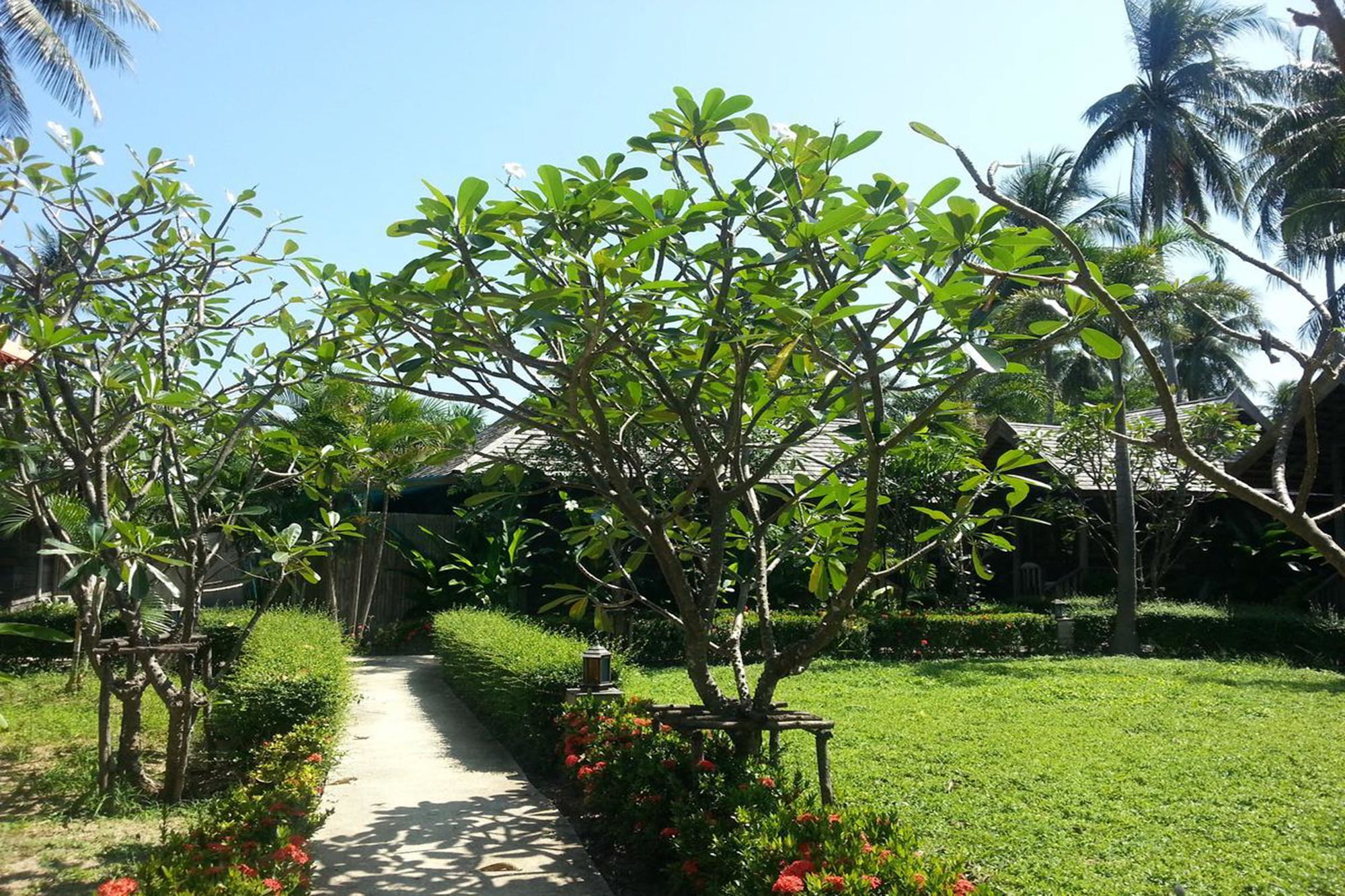 Resort New Ozone &