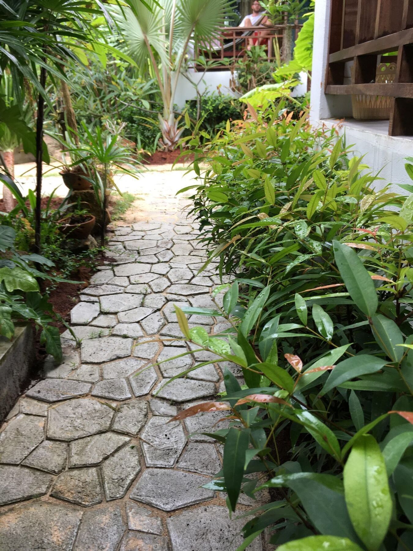 Resort Benjamin's Hut 2*