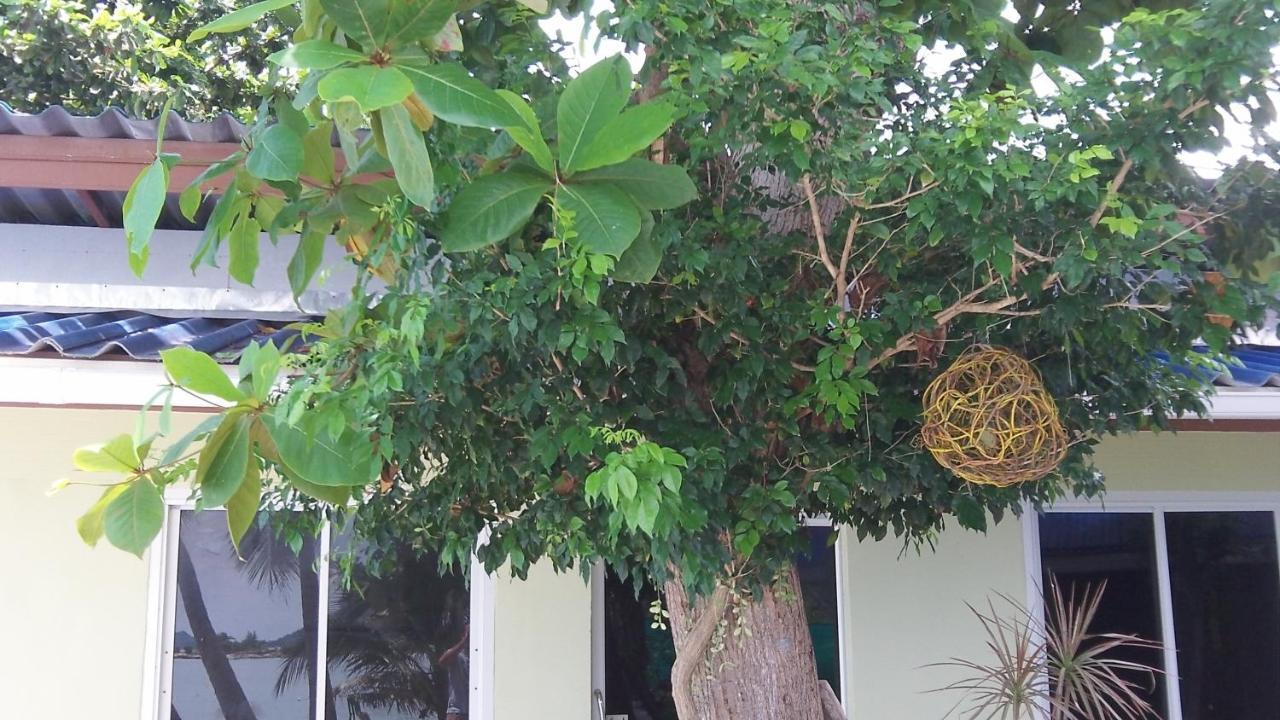 Zen Zi Inn