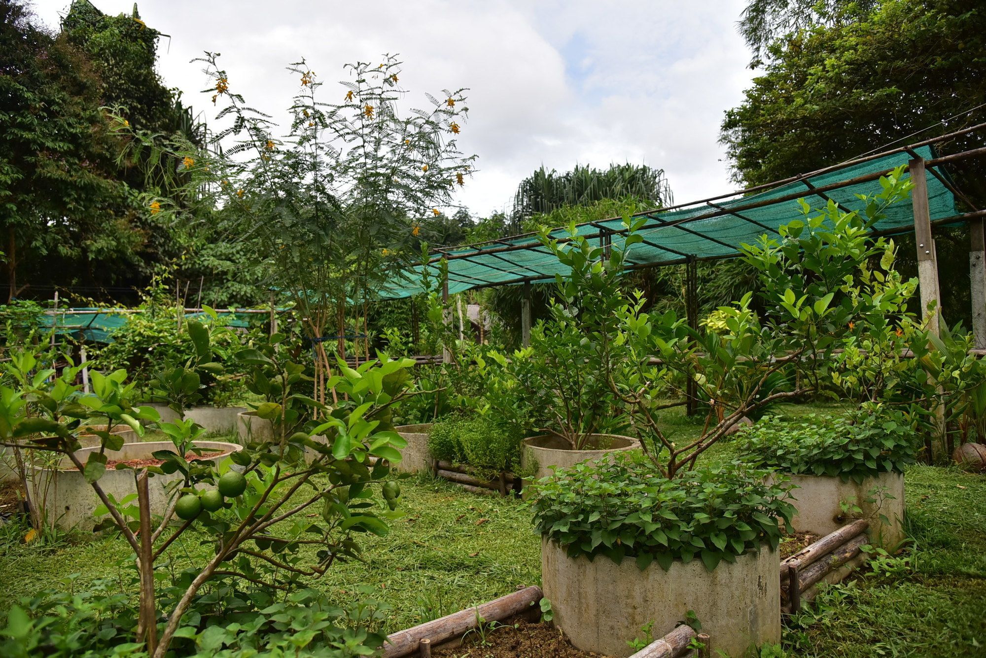Guest house Khao Sok 2*