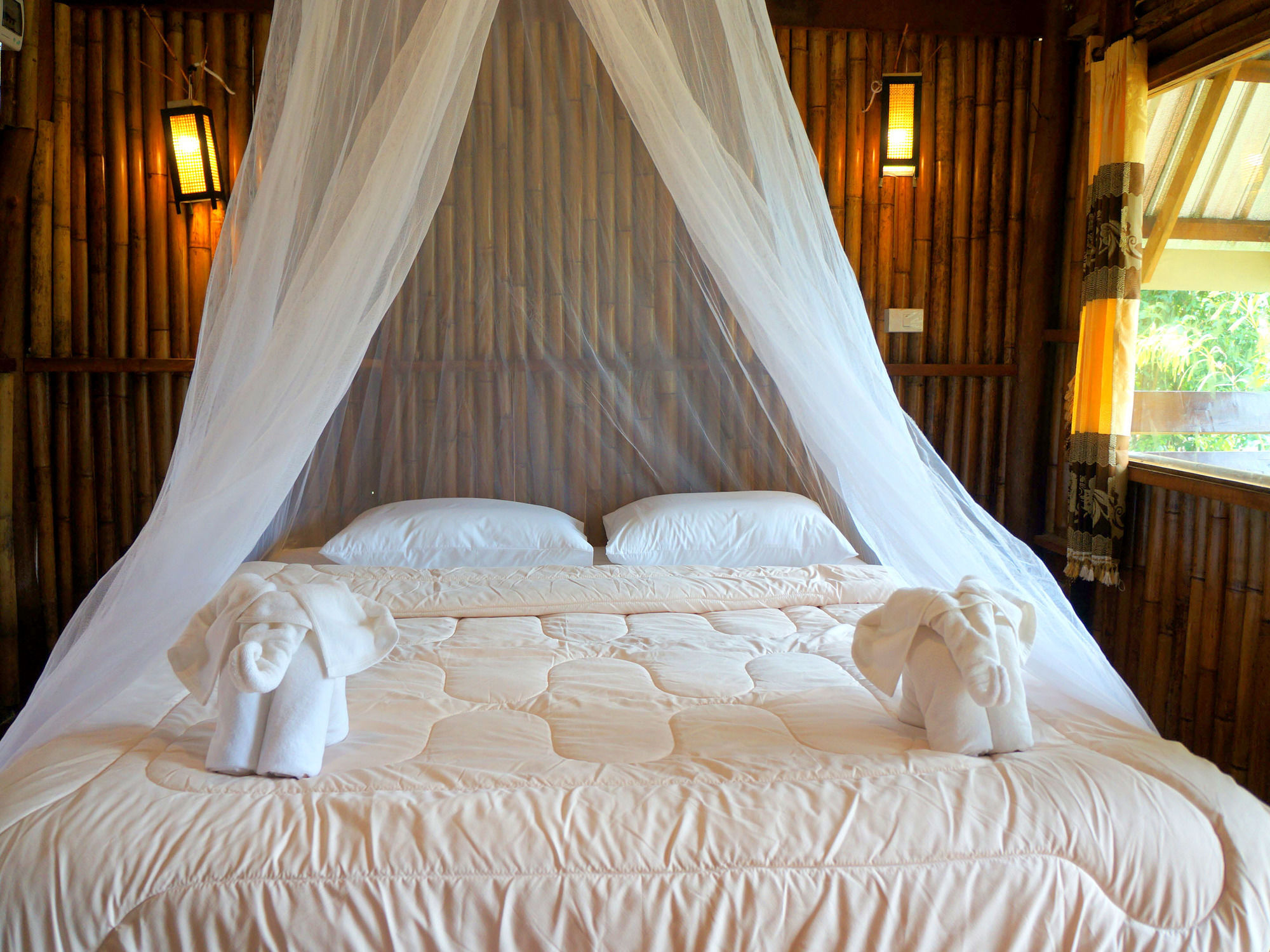 Khao Sok Jungle