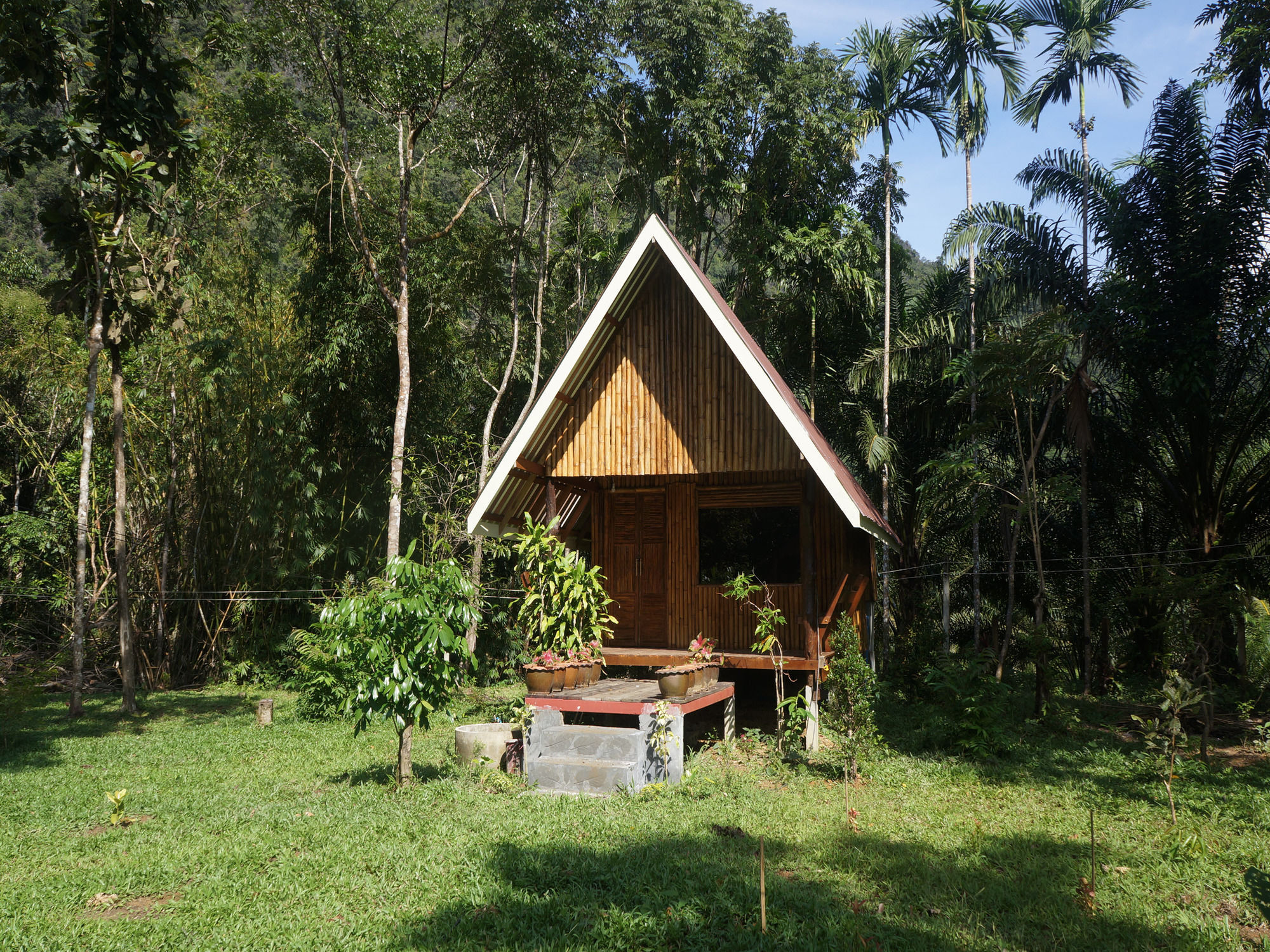 Inn Khao Sok Jungle