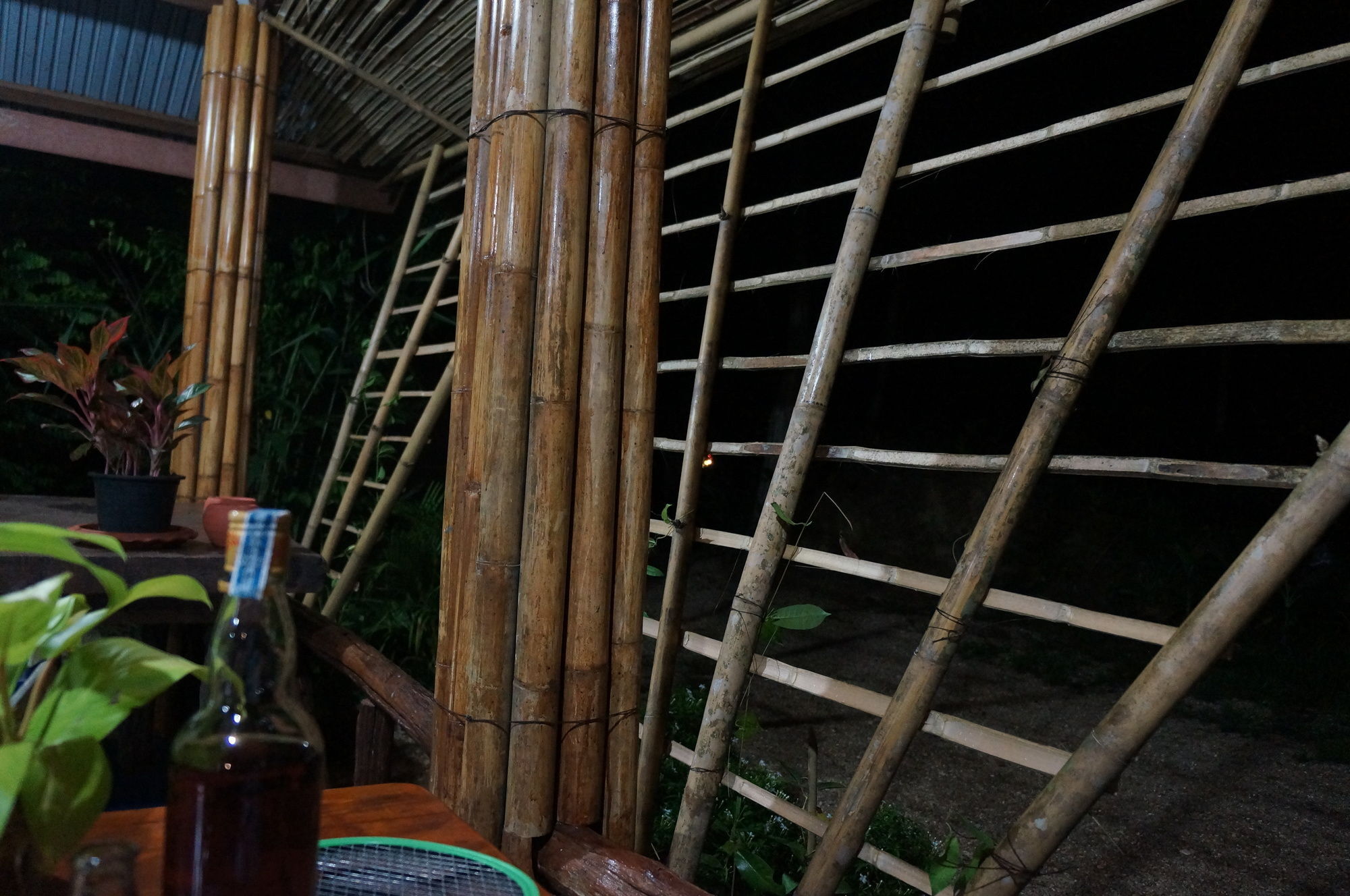 Khao Sok Jungle Inn Khao Sok National Park