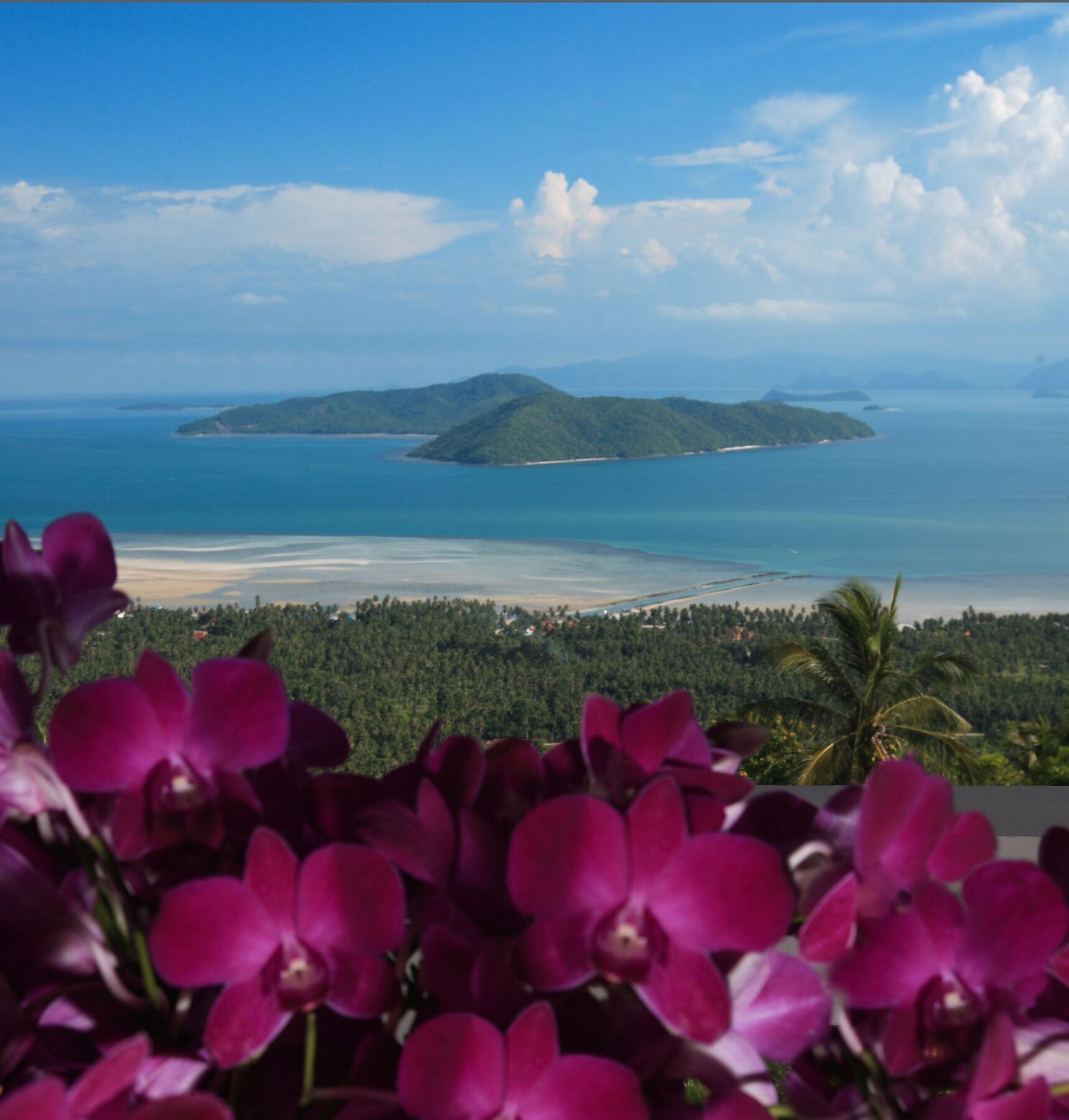 Resort Serene Retreat And