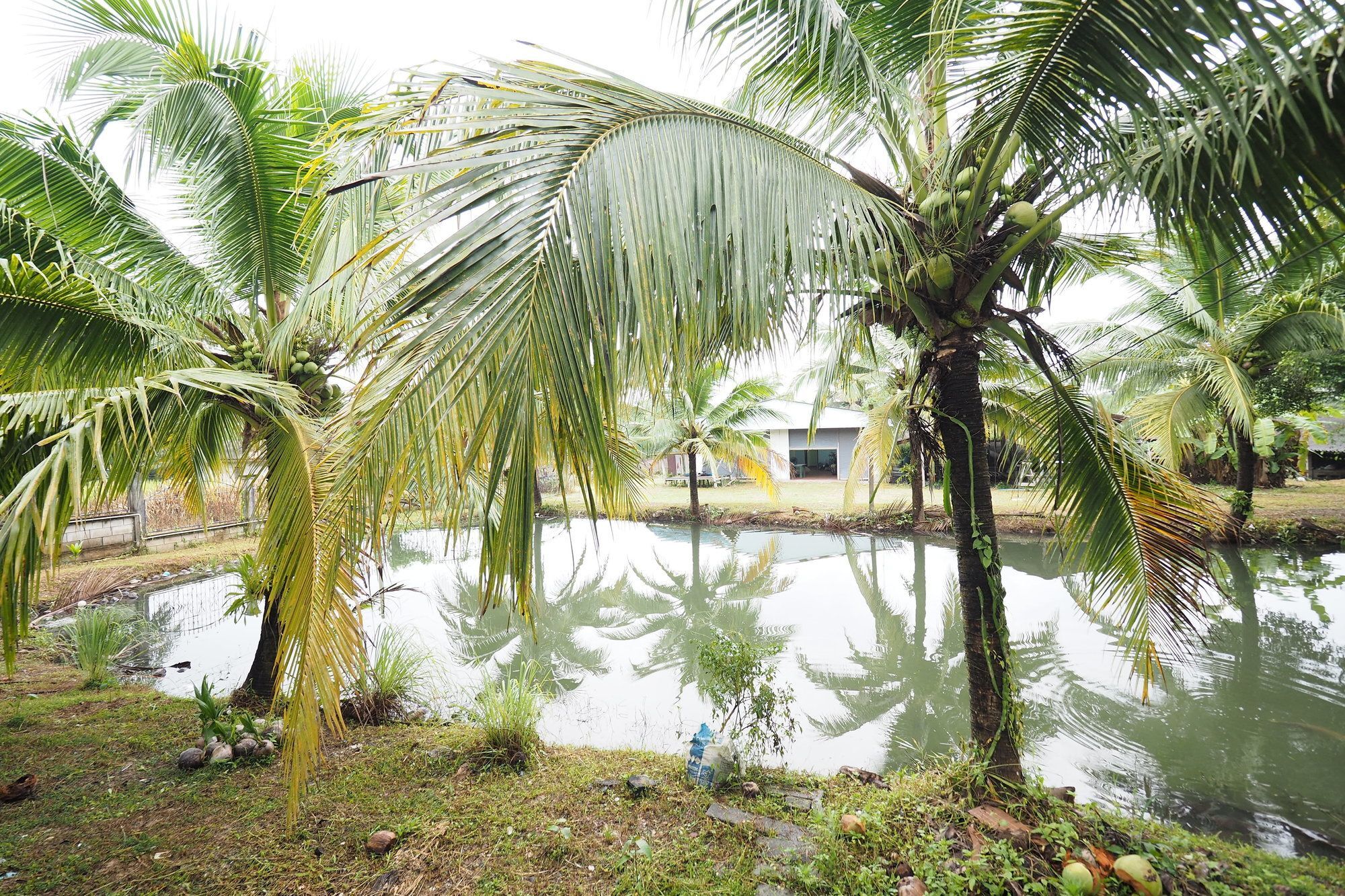 Oyo 75515 Sairung Resort Krabi