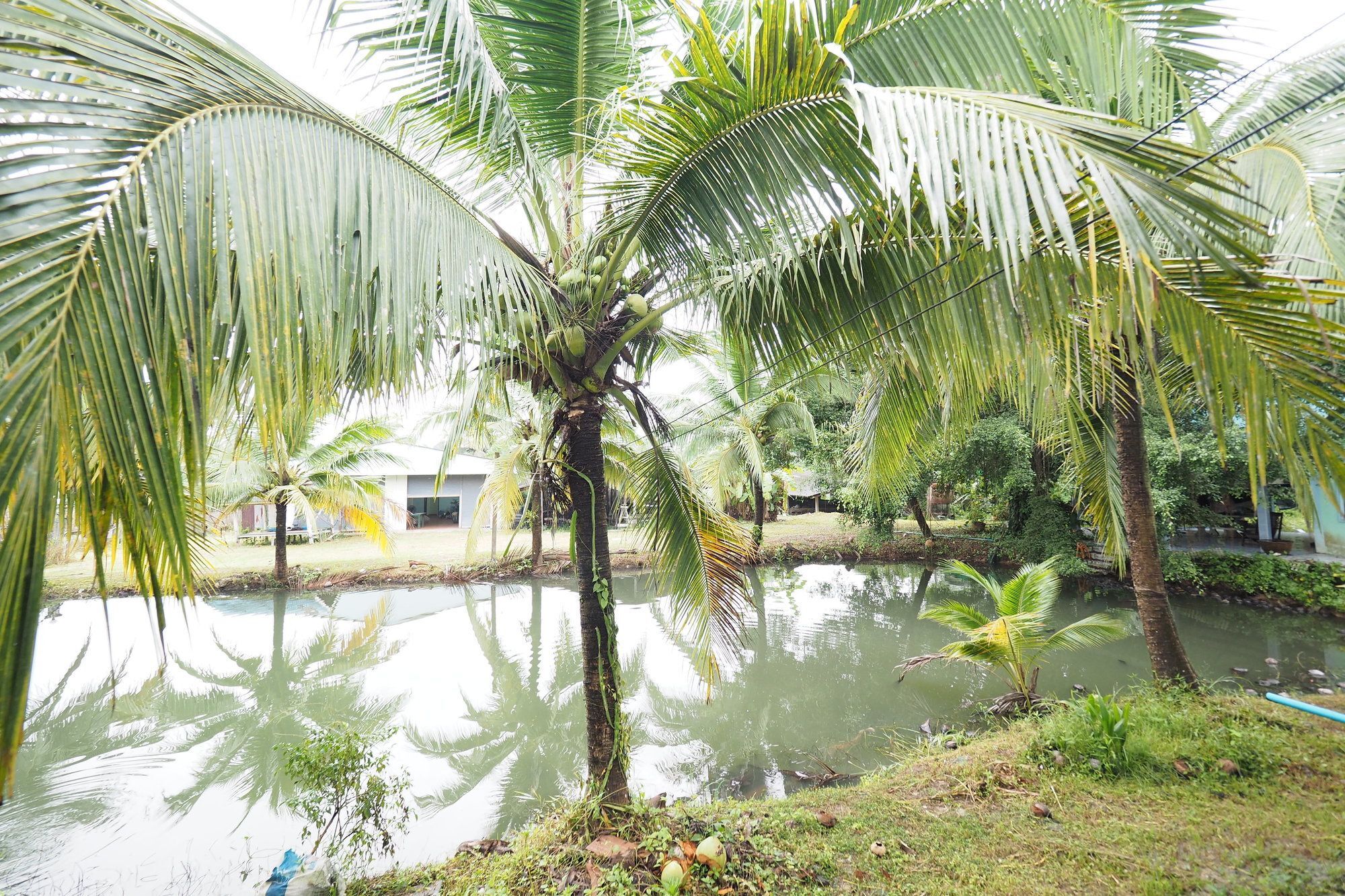 Oyo 75515 Sairung 2* Krabi