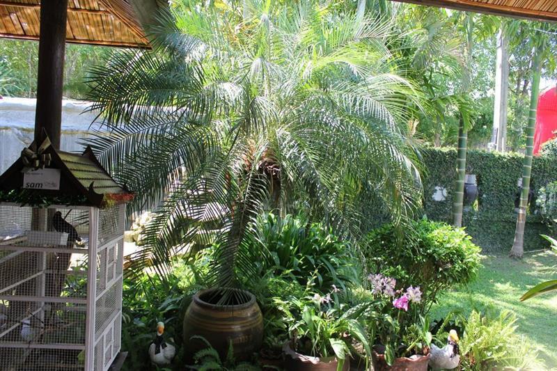 Baan Suan Resort
