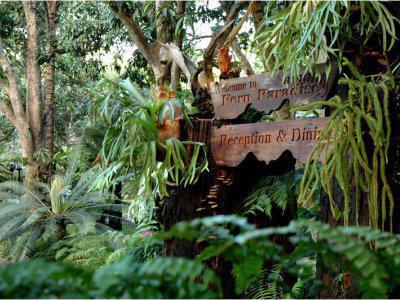 Resort Fern Paradise
