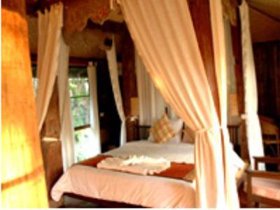 Resort Fern Paradise 3*