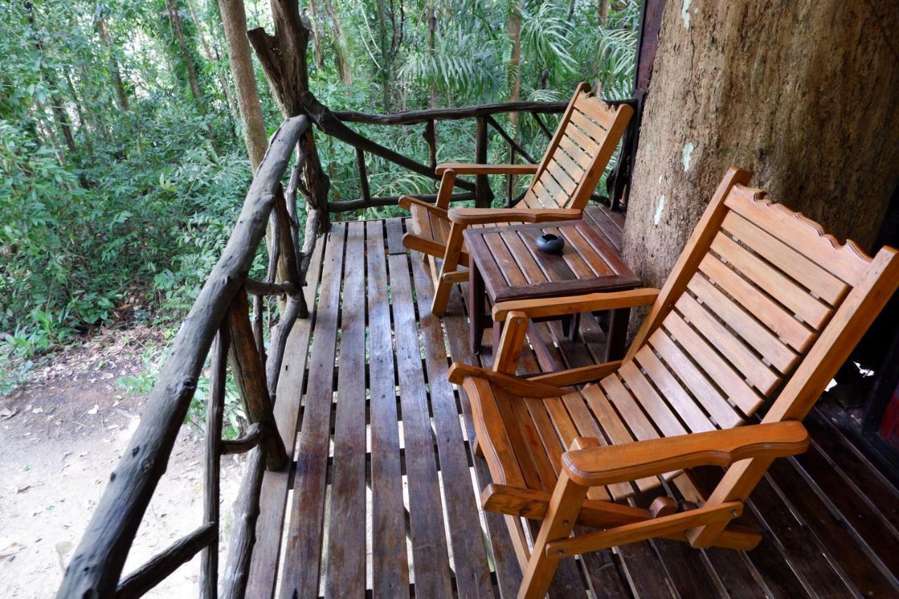 Resort Khao Sok Nature
