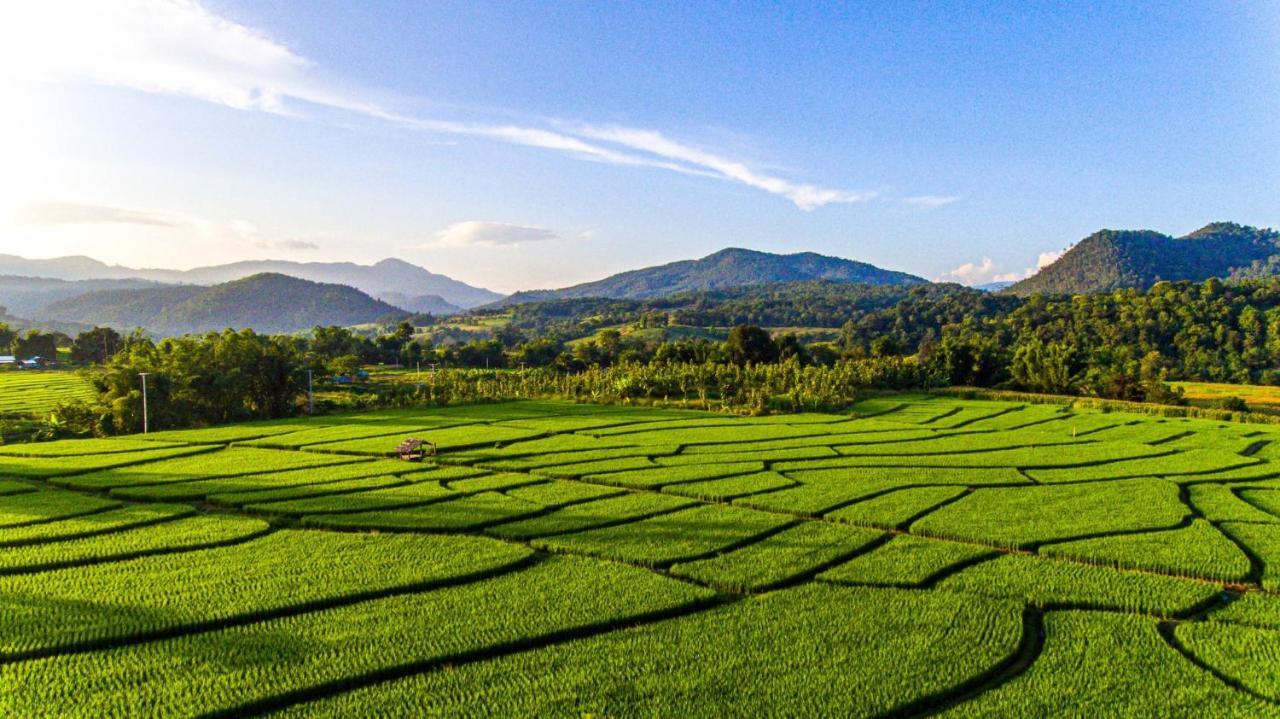Lodge Phu Pai Art