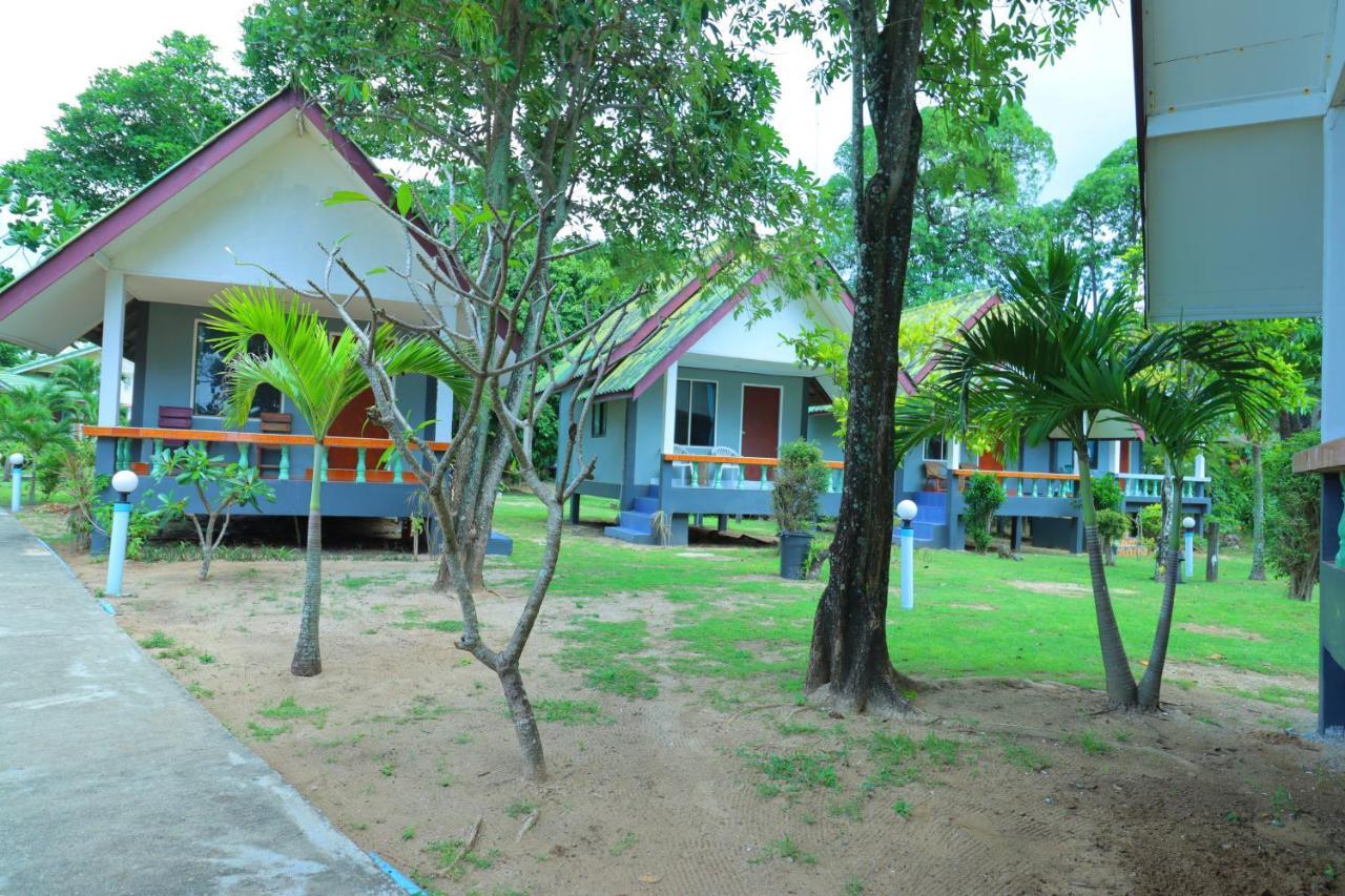 Lanta Palm , -