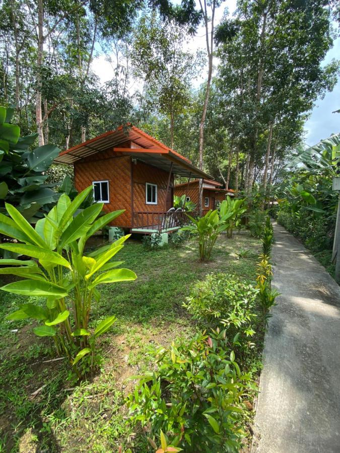 Khaosok Bamboo Huts Khao Sok National Park