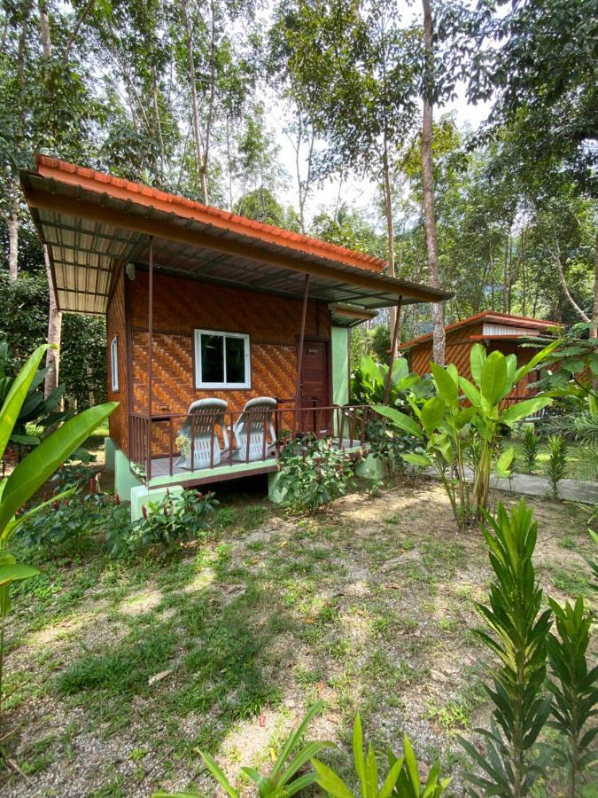 Khaosok Bamboo Huts Khao Sok National Park