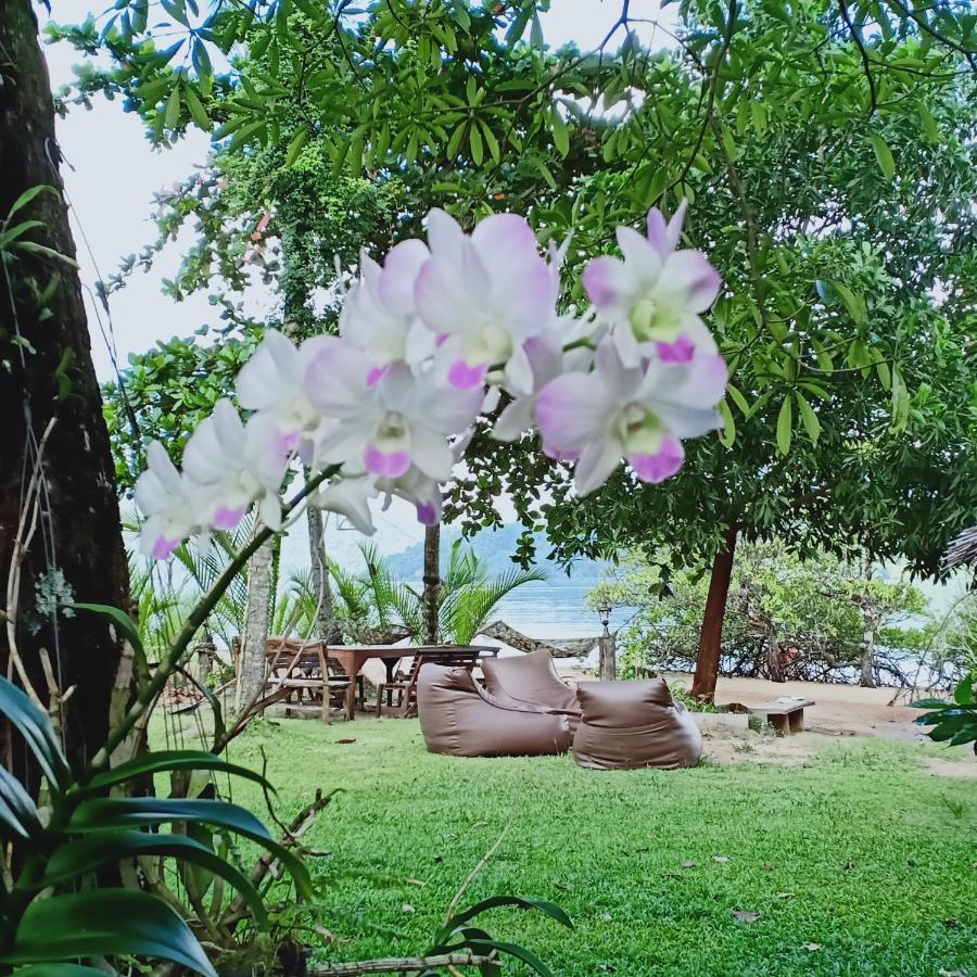 Journey's End Homestay *
