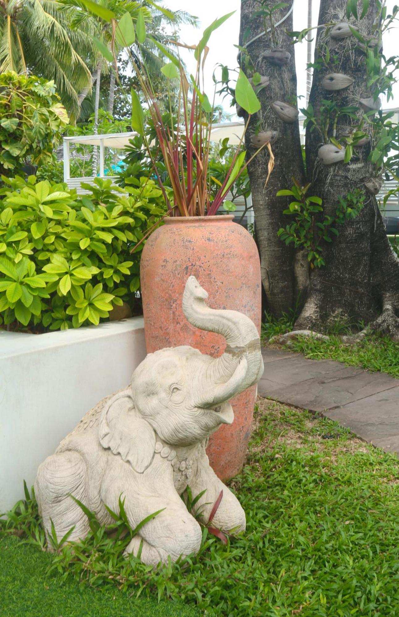 Zara Koh Samui
