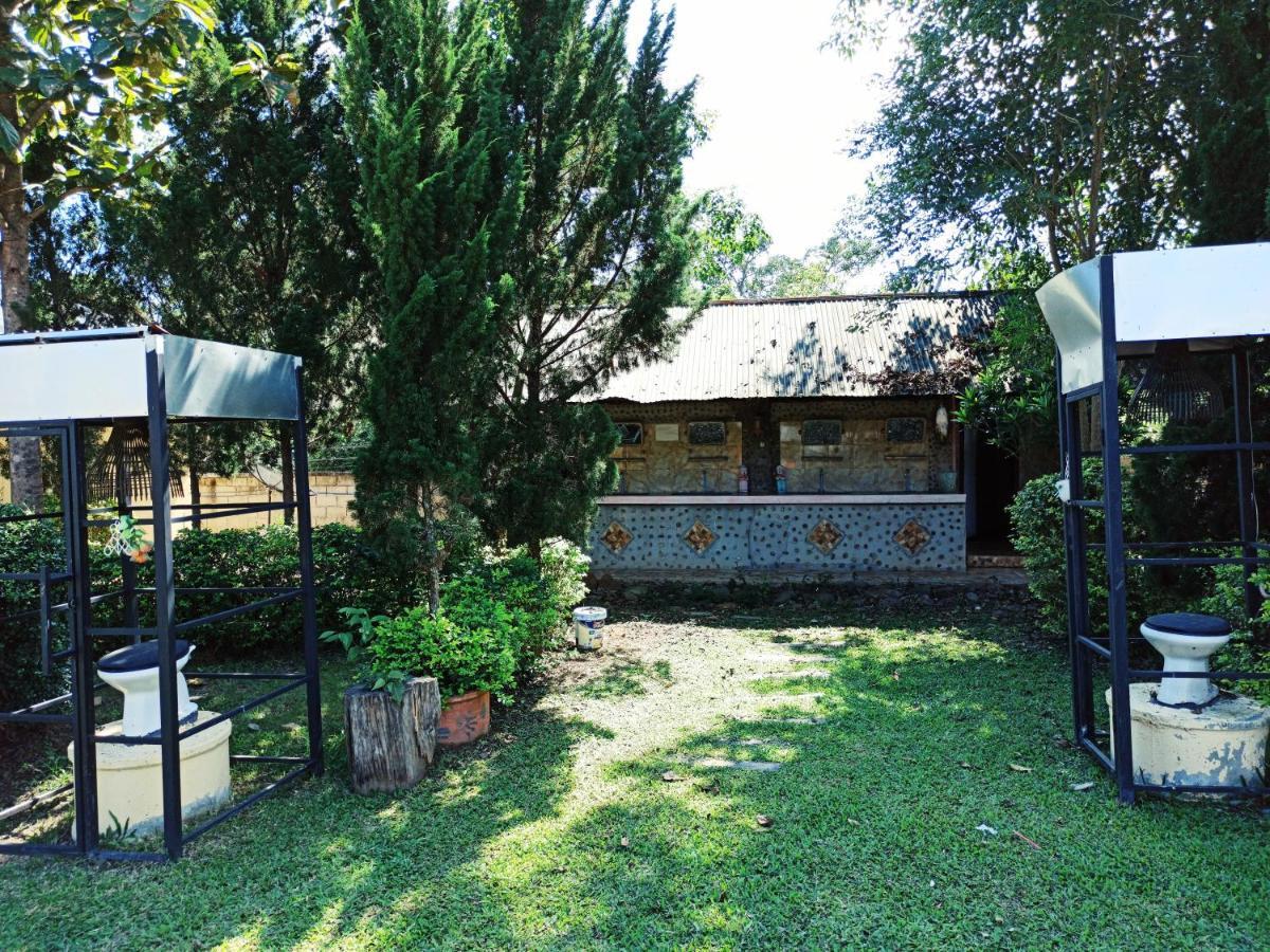 Forest Guest house 2*
