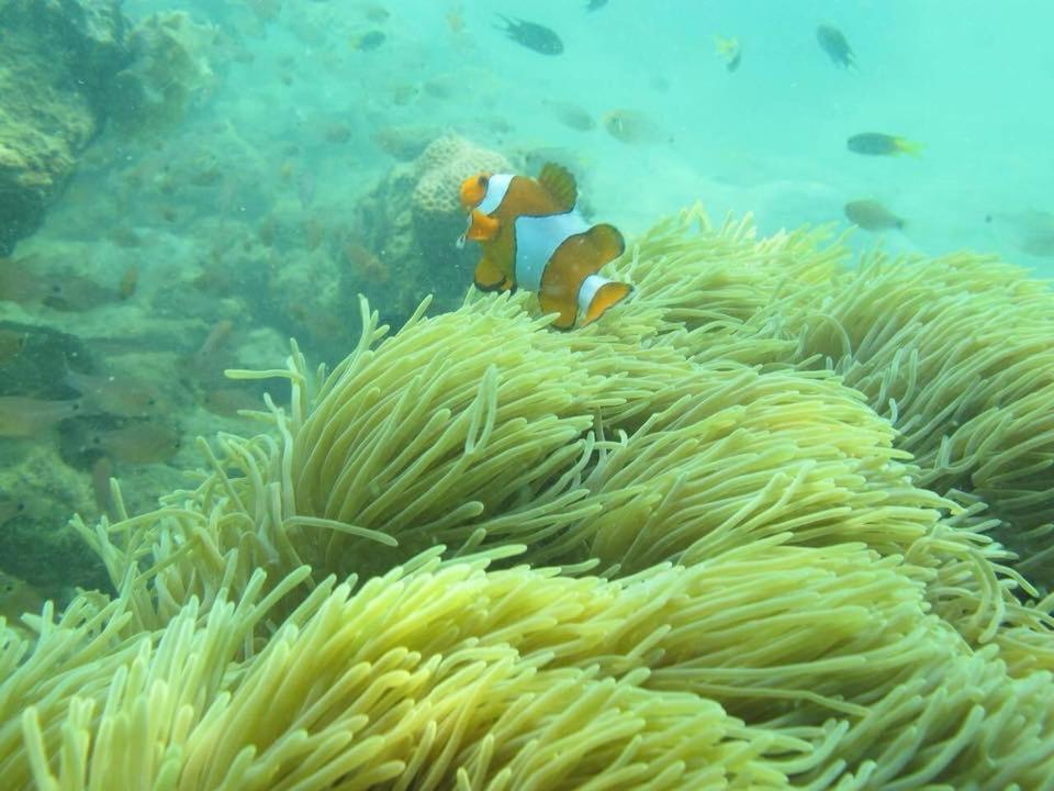 Bai Bai Resort