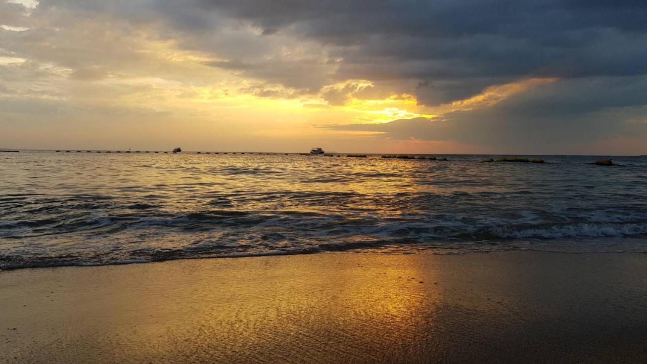 Jellyfish * Jomtien Beach
