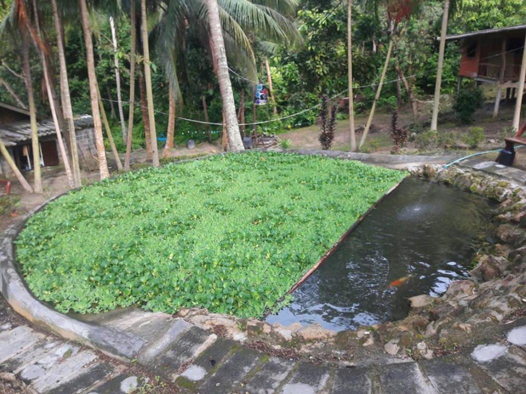 Hidden Valley * Baan Tai