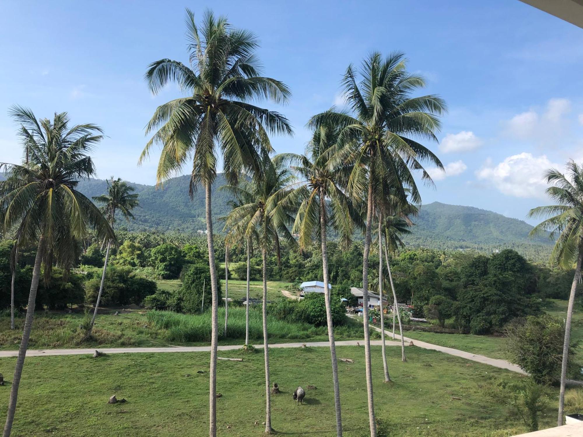 Resort Amarin Samui - Sha Certified 3*