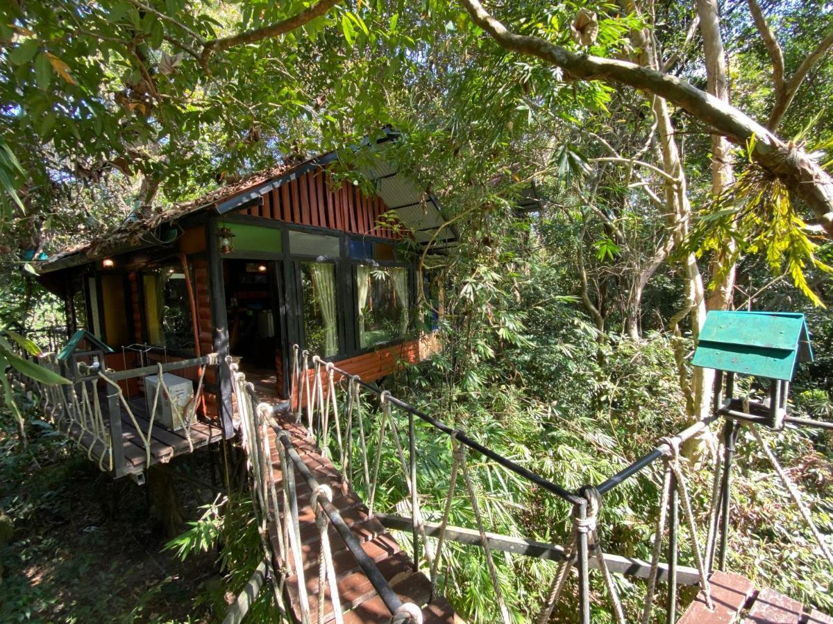 Khao Sok Tree House Resort