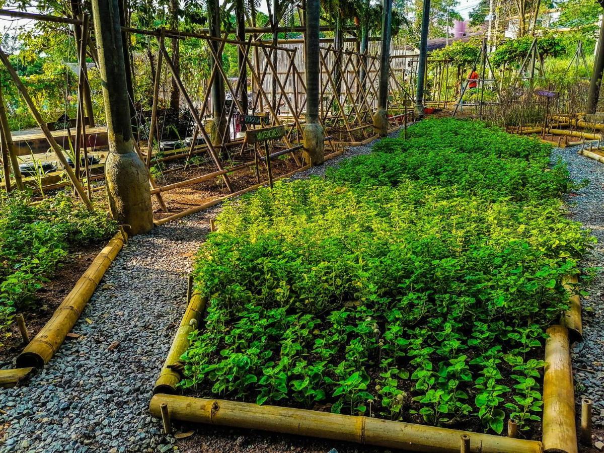 The Mud Bamboo Cafe And Beds 2*