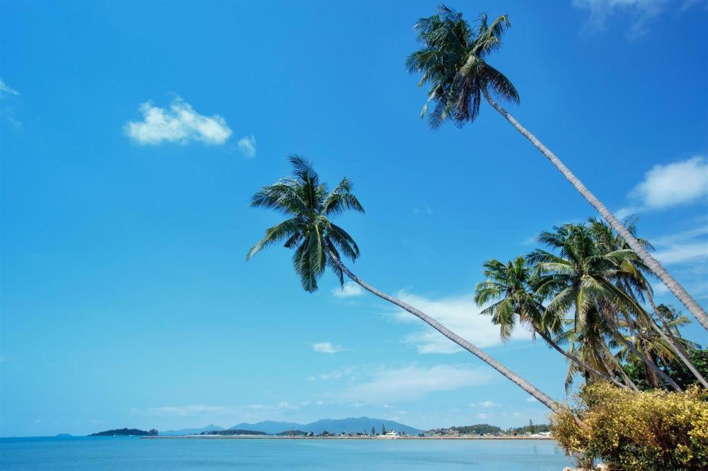 Oyo 616 Bonita House Samui 2*