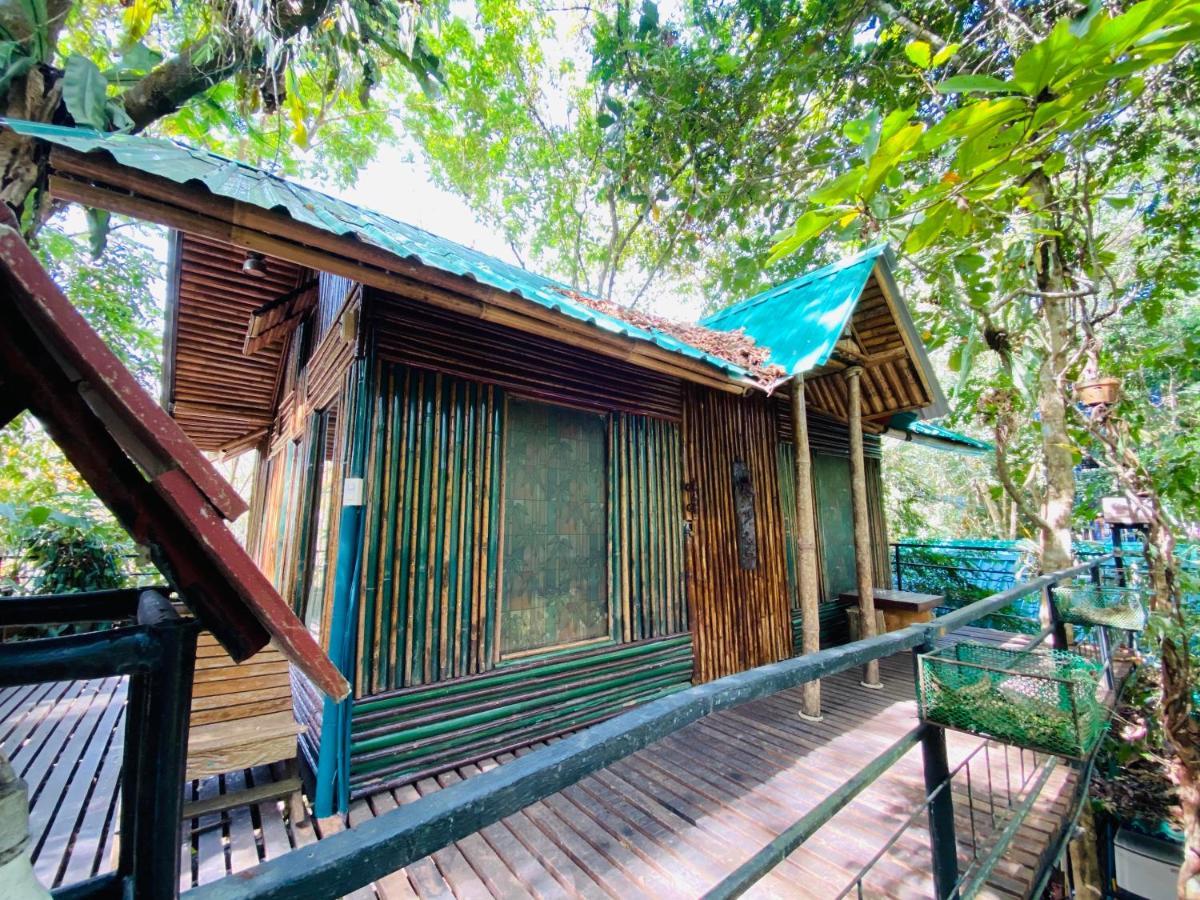 Khao Sok Tree House 4* Khao Sok National Park