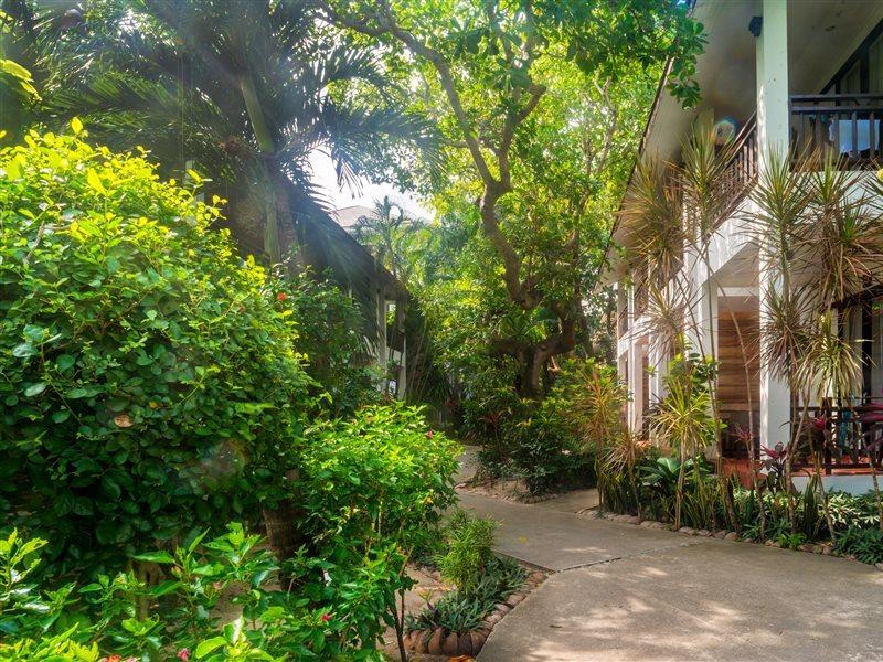 The Hive Resort 3*