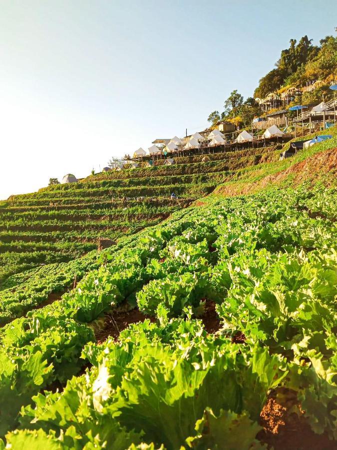 Phutonso Homestay