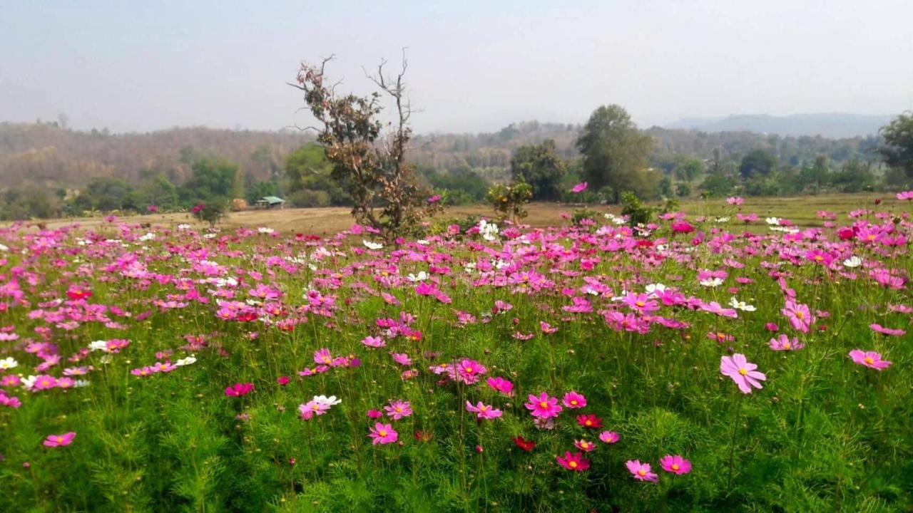 Phu Pai Art Mae Hong Son