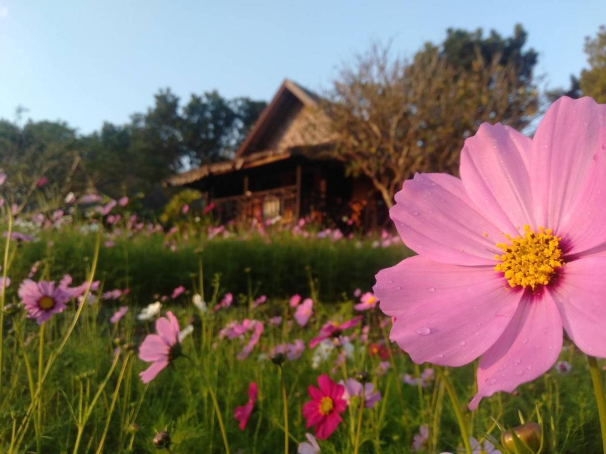 Phu Pai Art * Mae Hong Son