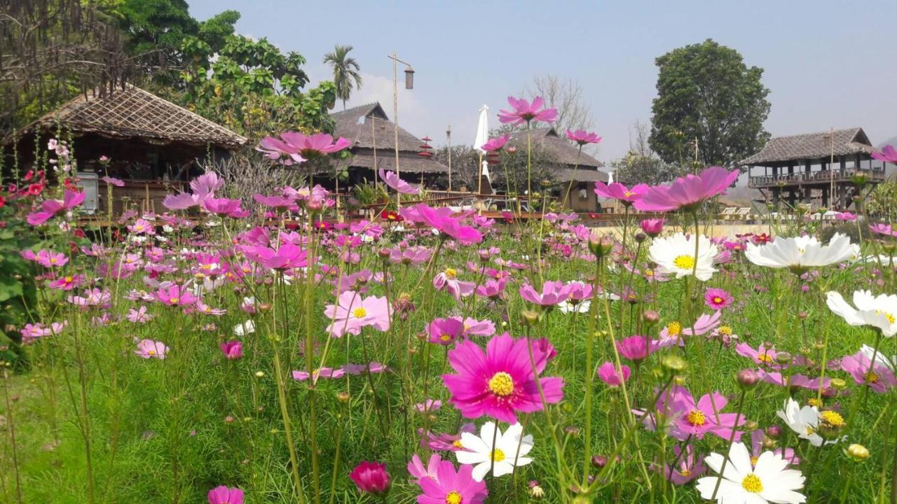 Phu Pai Art