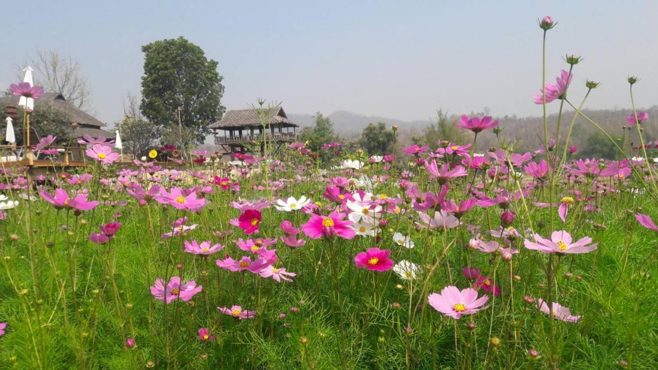 Lodge Phu Pai Art