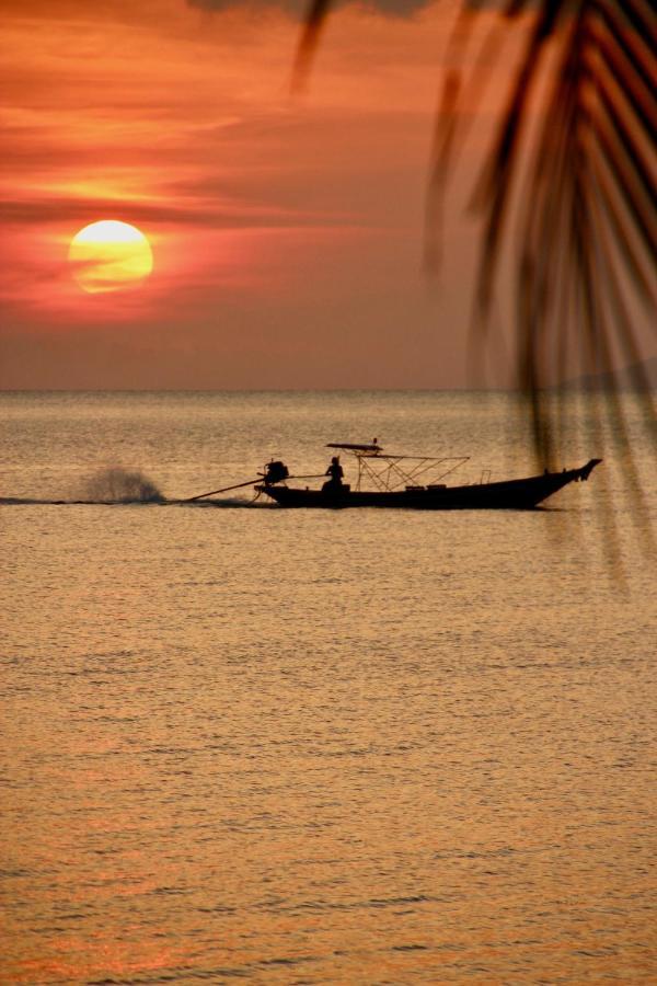Sibaja Palms Sunset Luxury