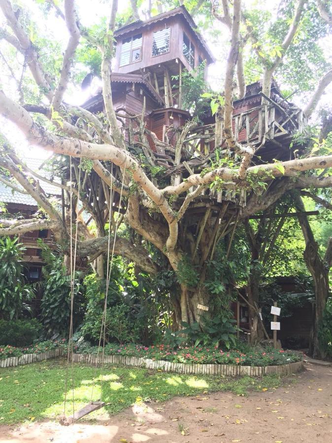 Treehouse Pai