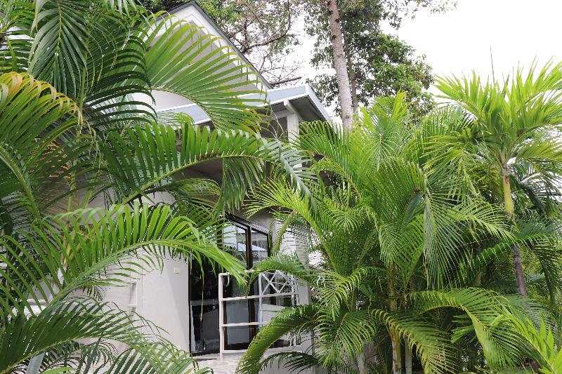 Resort Coconutspalm Maret