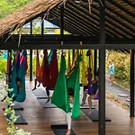Wonderland Healing Center