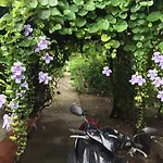 Sanita Cottage