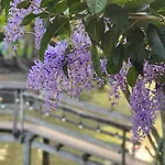 Baan Klong Resort