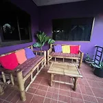 Purple House - Female Only Boutique Hostel